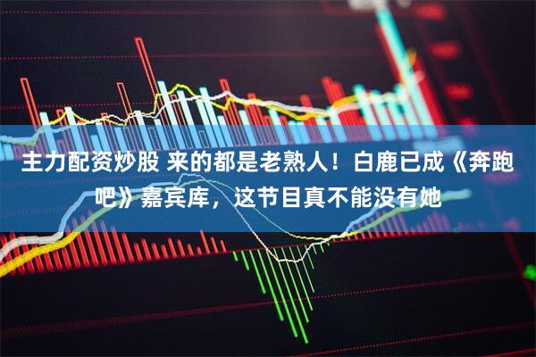 主力配资炒股 来的都是老熟人！白鹿已成《奔跑吧》嘉宾库，这节目真不能没有她