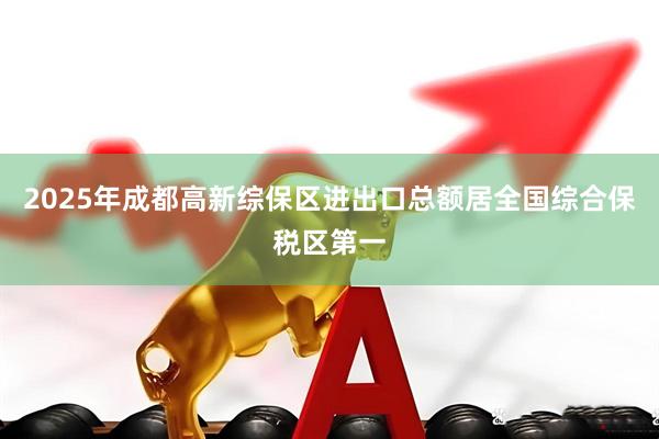 2025年成都高新综保区进出口总额居全国综合保税区第一