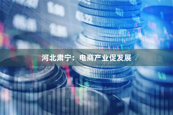 河北肃宁：电商产业促发展