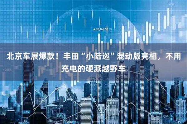 北京车展爆款！丰田“小陆巡”混动版亮相，不用充电的硬派越野车