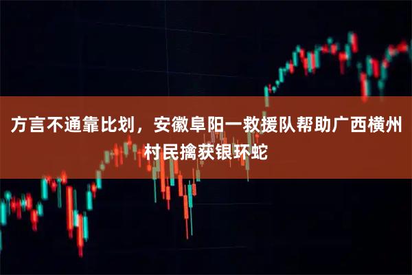 方言不通靠比划，安徽阜阳一救援队帮助广西横州村民擒获银环蛇